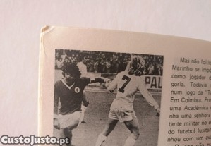 imagem_7