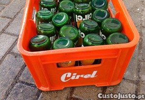 imagem_3