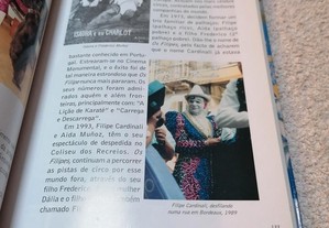 imagem_8