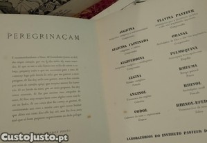 imagem_6