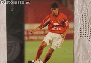 imagem_7
