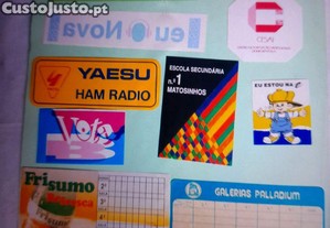 imagem_2