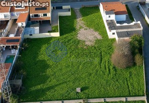 imagem_21