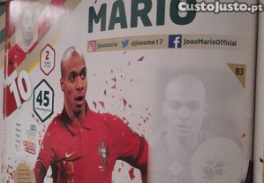 imagem_8
