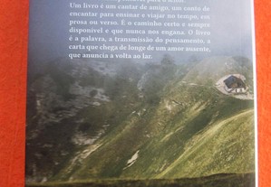 imagem_8