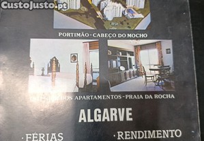 imagem_6