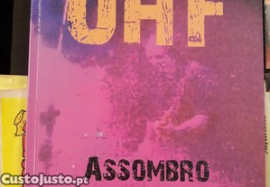 imagem_1