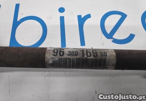 imagem_4