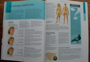 imagem_8