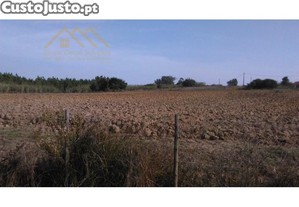 Terreno Agrícola C/ Área 12320M2