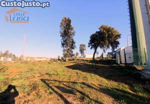 imagem_6