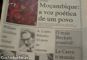imagem_13