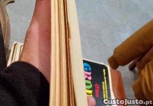 imagem_5