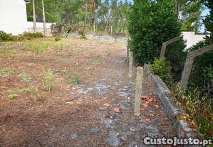 imagem_7