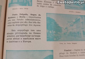 imagem_6