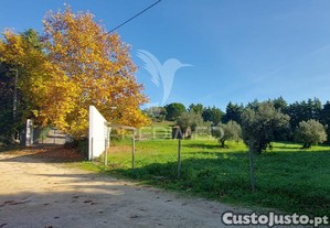 imagem_24