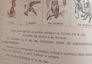 imagem_4