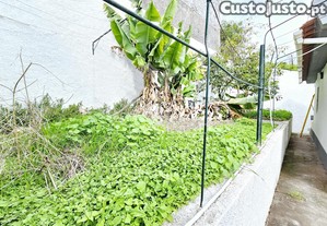 imagem_11