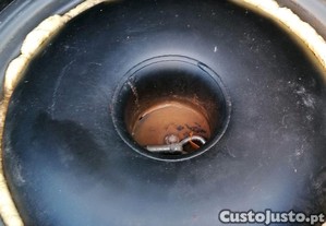 imagem_10