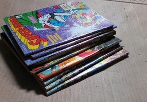 imagem_2