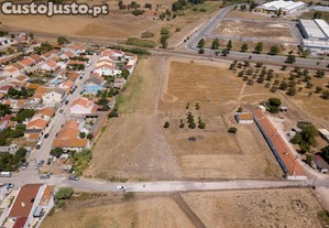imagem_20