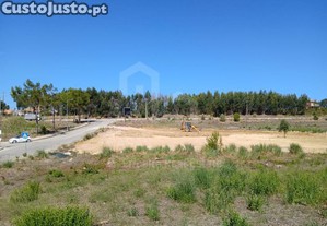 Lote Mafra