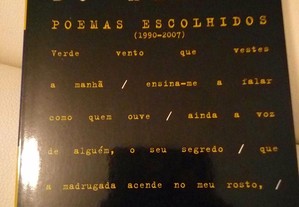 Fernando Pinto do Amaral, Poemas/prosa