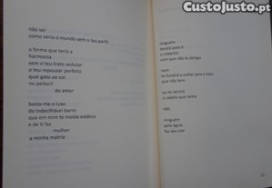 imagem_8