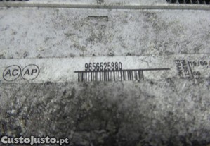 imagem_5