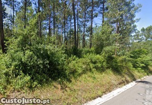 Terreno Agrícola em Maceira