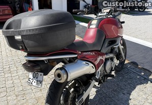 imagem_3
