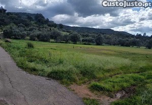 imagem_6