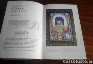 imagem_4