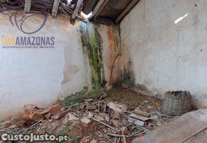 imagem_24