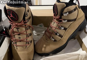 Air Jordan 6 rings winterized