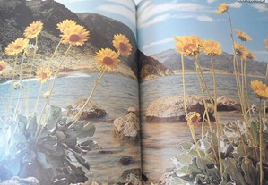 imagem_6