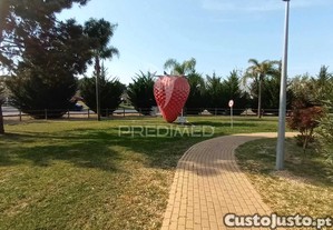 imagem_24