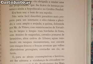 imagem_6