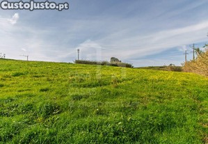 imagem_5