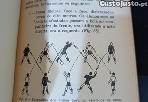 imagem_7