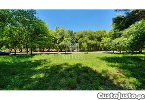 Magn�fico Terreno Moledo/Cristelo