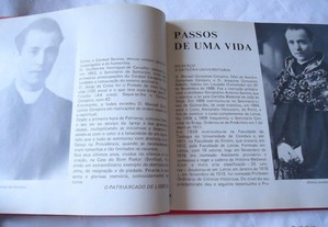 imagem_8
