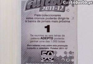 imagem_2