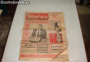 imagem_5