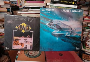 Vinil LP dos Space