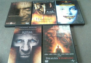 imagem_7