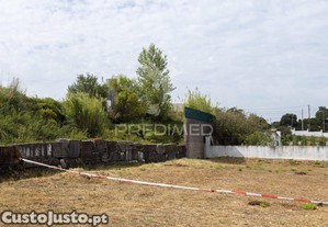 imagem_10
