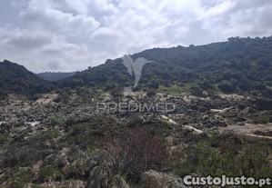 imagem_24