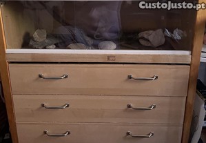 Terrario/móvel para répteis