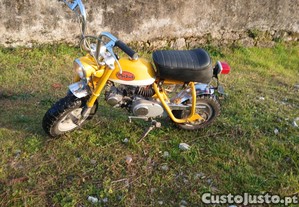 imagem_3